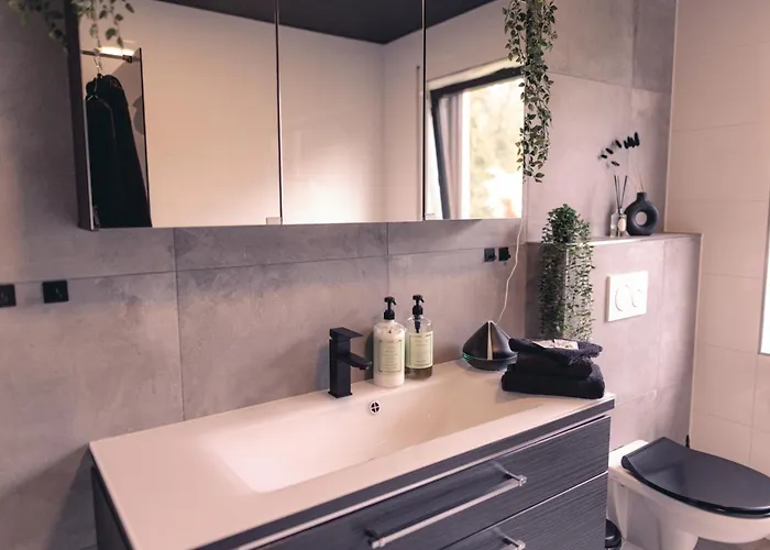 Aparthotel Erwachsenenhotel Bdsm Emotion Mit Privater Sauna Und Whirlpool